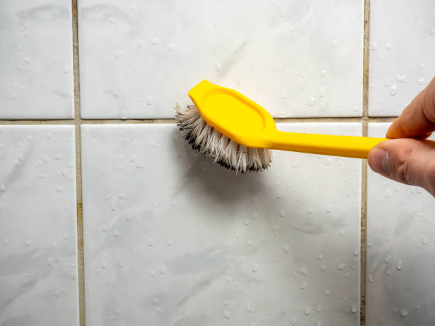 Best Mold Testing  in Grafton, OH